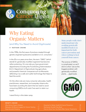 CC Newsletter Cover - Issue #3